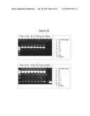 Direct Transfer of Polynucleotides Between Genomes diagram and image