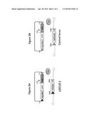 NOVEL CHO INTEGRATION SITES AND USES THEREOF diagram and image