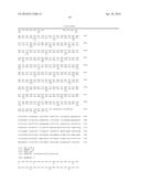 METHOD FOR PRODUCING L-LEUCINE, L-VALINE, L-ISOLEUCINE,     ALPHA-KETOISOVALERATE, ALPHA-KETO-BETA-METHYLVALERATE, OR     ALPHA-KETOISOCAPROATE USING RECOMBINANT CORYNEBACTERIA THAT CONTAIN THE     ILVBN OPERON WHICH CAN BE INDUCED BY PROPIONATE diagram and image