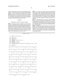 NOVEL O-PHOSPHOSERINE EXPORT PROTEIN AND THE METHOD OF PRODUCING     O-PHOSPHOSERINE USING THE SAME diagram and image