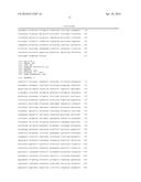 NOVEL O-PHOSPHOSERINE EXPORT PROTEIN AND THE METHOD OF PRODUCING     O-PHOSPHOSERINE USING THE SAME diagram and image