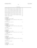 NOVEL O-PHOSPHOSERINE EXPORT PROTEIN AND THE METHOD OF PRODUCING     O-PHOSPHOSERINE USING THE SAME diagram and image