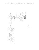 PARTHENOLIDE DERIVATIVES, METHODS FOR THEIR PREPARATION AND THEIR USE AS     ANTICANCER AGENTS diagram and image