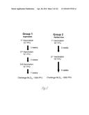 SCREEN FOR INHIBITORS OF FILOVIRUS AND USES THEREFOR diagram and image