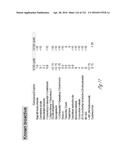 SCREEN FOR INHIBITORS OF FILOVIRUS AND USES THEREFOR diagram and image