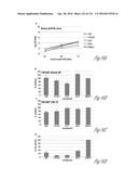 SCREEN FOR INHIBITORS OF FILOVIRUS AND USES THEREFOR diagram and image