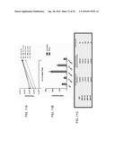 MUTANT PROTEASE BIOSENSORS WITH ENHANCED DETECTION CHARACTERISTICS diagram and image