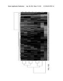 MUTANT PROTEASE BIOSENSORS WITH ENHANCED DETECTION CHARACTERISTICS diagram and image