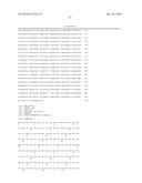 MUTANT PROTEASE BIOSENSORS WITH ENHANCED DETECTION CHARACTERISTICS diagram and image