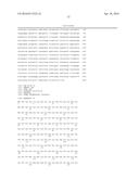 MUTANT PROTEASE BIOSENSORS WITH ENHANCED DETECTION CHARACTERISTICS diagram and image