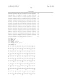 MUTANT PROTEASE BIOSENSORS WITH ENHANCED DETECTION CHARACTERISTICS diagram and image