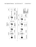 NUCLEIC ACID PREPARATION METHOD diagram and image