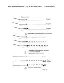 MULTIPLEX AMPLIFICATION AND DETECTION diagram and image