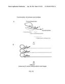 MULTIPLEX AMPLIFICATION AND DETECTION diagram and image