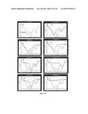 MULTIPLEX AMPLIFICATION AND DETECTION diagram and image