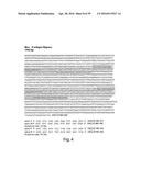 COMPOSITIONS, KITS, AND RELATED METHODS FOR DETECTING AND/OR MONITORING     SHIGA TOXIN PRODUCING ESCHERICHIA COLI diagram and image