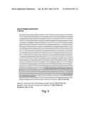 COMPOSITIONS, KITS, AND RELATED METHODS FOR DETECTING AND/OR MONITORING     SHIGA TOXIN PRODUCING ESCHERICHIA COLI diagram and image