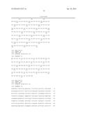 COMPOSITIONS, KITS, AND RELATED METHODS FOR DETECTING AND/OR MONITORING     SHIGA TOXIN PRODUCING ESCHERICHIA COLI diagram and image