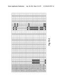 COMPOSITIONS, KITS, AND RELATED METHODS FOR DETECTING AND/OR MONITORING     SHIGA TOXIN PRODUCING ESCHERICHIA COLI diagram and image