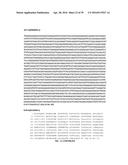 COMPOSITIONS, KITS, AND RELATED METHODS FOR DETECTING AND/OR MONITORING     SHIGA TOXIN PRODUCING ESCHERICHIA COLI diagram and image