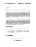 COMPOSITIONS, KITS, AND RELATED METHODS FOR DETECTING AND/OR MONITORING     SHIGA TOXIN PRODUCING ESCHERICHIA COLI diagram and image