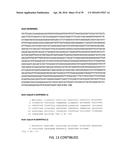 COMPOSITIONS, KITS, AND RELATED METHODS FOR DETECTING AND/OR MONITORING     SHIGA TOXIN PRODUCING ESCHERICHIA COLI diagram and image