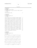 COMPOSITIONS, KITS, AND RELATED METHODS FOR DETECTING AND/OR MONITORING     SHIGA TOXIN PRODUCING ESCHERICHIA COLI diagram and image