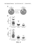 DETERMINATION OF METHYLATION STATE AND CHROMATIN STRUCTURE OF TARGET     GENETIC LOCI diagram and image