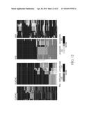 DETERMINATION OF METHYLATION STATE AND CHROMATIN STRUCTURE OF TARGET     GENETIC LOCI diagram and image