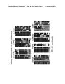 DETERMINATION OF METHYLATION STATE AND CHROMATIN STRUCTURE OF TARGET     GENETIC LOCI diagram and image