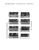 DETERMINATION OF METHYLATION STATE AND CHROMATIN STRUCTURE OF TARGET     GENETIC LOCI diagram and image