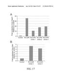 DETERMINATION OF METHYLATION STATE AND CHROMATIN STRUCTURE OF TARGET     GENETIC LOCI diagram and image