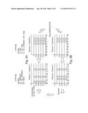 SEQUENCING BY ORTHOGONAL SYNTHESIS diagram and image