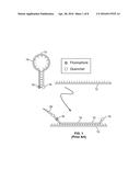 Gel-Tethering for Integrated Oligonucleotide Amplification and Real-Time     Detection diagram and image