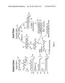 Gel-Tethering for Integrated Oligonucleotide Amplification and Real-Time     Detection diagram and image