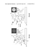 Gel-Tethering for Integrated Oligonucleotide Amplification and Real-Time     Detection diagram and image