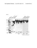 METHODS FOR ESTIMATING THE SIZE OF DISEASE-ASSOCIATED POLYNUCLEOTIDE     REPEAT EXPANSIONS IN GENES diagram and image