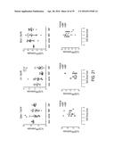 PRODRUGS AND DRUGS diagram and image