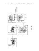 PRODRUGS AND DRUGS diagram and image