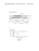 USE OF FREE CIRCULATING DNA FOR DIAGNOSIS, PROGNOSIS, AND TREATMENT OF     CANCER diagram and image