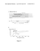 USE OF FREE CIRCULATING DNA FOR DIAGNOSIS, PROGNOSIS, AND TREATMENT OF     CANCER diagram and image