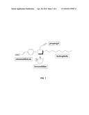 NOVEL MILD STEEL CORROSION INHIBITOR COMPOUNDS diagram and image