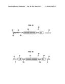 ROADWAY CABLE BARRIER SYSTEM diagram and image