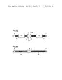 METHOD FOR MANUFACTURING RACK AND HOLLOW RACK BAR diagram and image