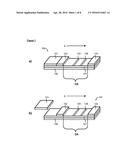 LATERAL FLOW ASSAY DEVICE diagram and image