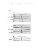 LATERAL FLOW ASSAY DEVICE diagram and image