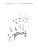 SEE-THROUGH COMPUTER DISPLAY SYSTEMS diagram and image