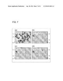 DISPLAY PANEL AND DISPLAY DEVICE diagram and image