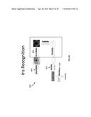 SYSTEMS AND METHODS FOR PERFORMING IRIS IDENTIFICATION AND VERIFICATION     USING MOBILE DEVICES diagram and image