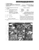 METHOD FOR DRIVER FACE DETECTION IN VIDEOS diagram and image